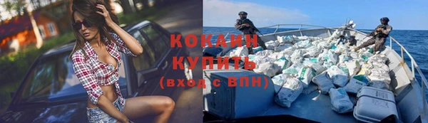твердый Алексин
