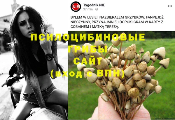 скорость Алзамай