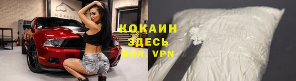 твердый Алексин