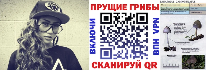 МЕГА сайт  Липки  маркетплейс клад  купить наркотик  Галлюциногенные грибы Magic Shrooms 
