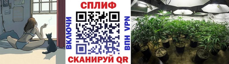 Бошки Шишки ГИДРОПОН  как найти закладки  Липки 